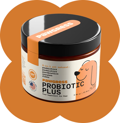 Itching, paw licking, head shaking? Start in the gut.