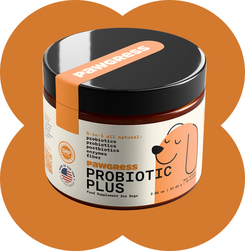 Itching, paw licking, head shaking? Start in the gut.