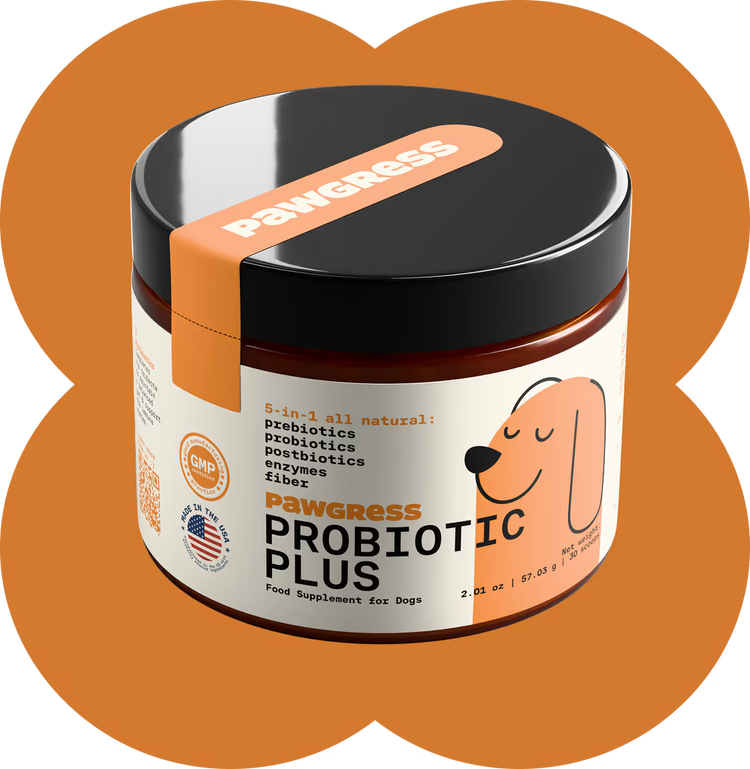 Itching, paw licking, head shaking? Start in the gut.