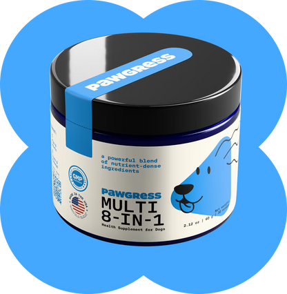 Low energy, itchy skin, stiff joints, and a sensitive belly?