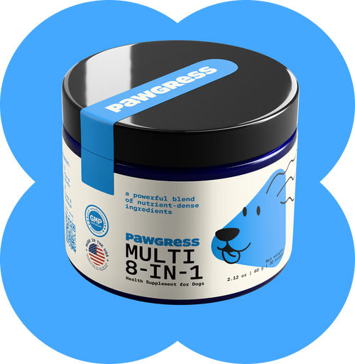 Low energy, itchy skin, stiff joints, and a sensitive belly?