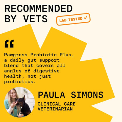 Itching, paw licking, head shaking? Start in the gut.