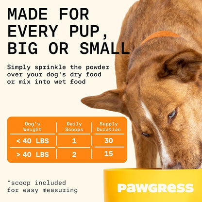 Itching, paw licking, head shaking? Start in the gut.