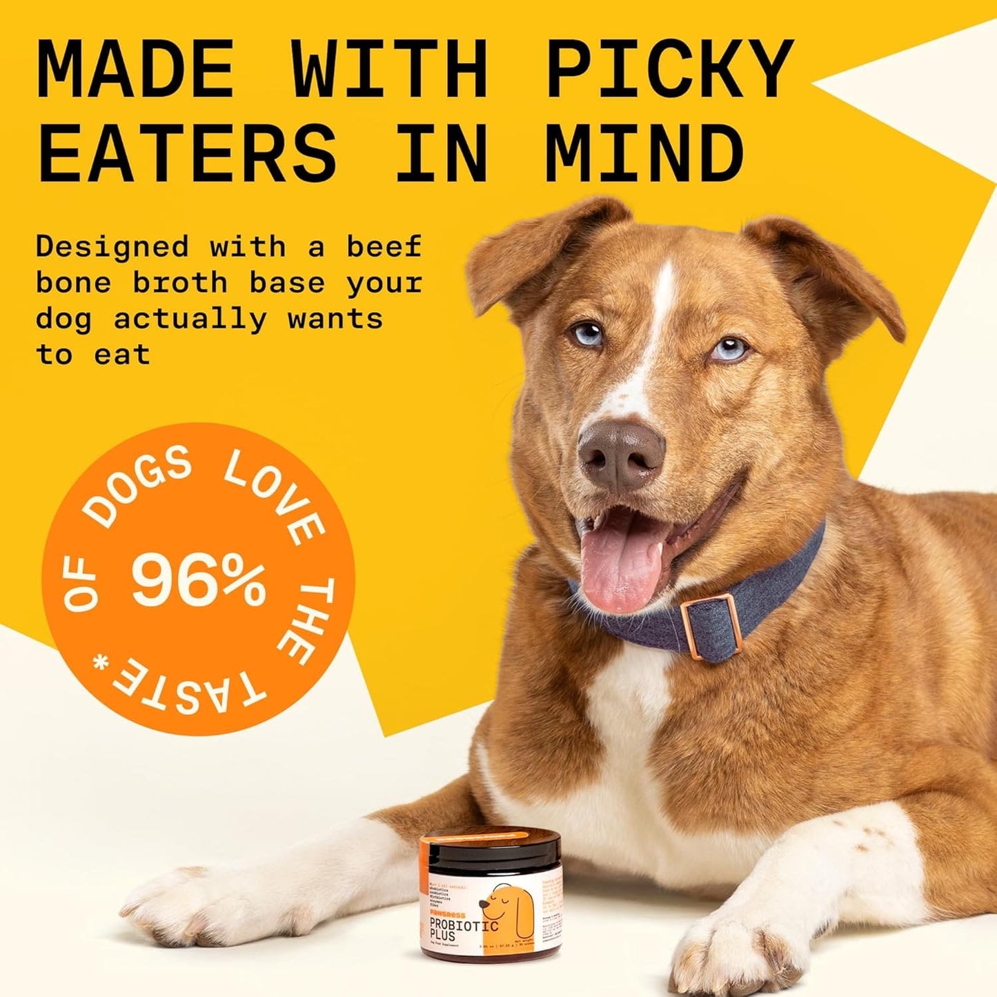 Itching, paw licking, head shaking? Start in the gut.